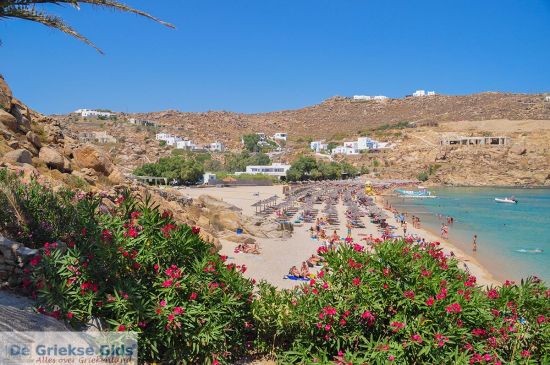 Super Paradise Beach Mykonos